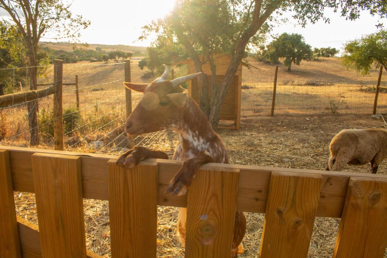 Reflexos D'Alma Turismo Rural Estremoz Dış mekan fotoğraf